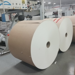 Rollos de Papel de Doble Cara Recubiertos de PE para Vasos de Papel, 100% Ecológicos, Pulpa de Madera, Grado Alimenticio, Impermeables, Reciclables - Product Image 3