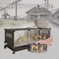 Grande cage robuste pour poulets et cailles, avec plateau en plastique, emballage en PP, fer, fenêtre transparente, anti-évasion, verrouillage, pour extérieur et intérieur