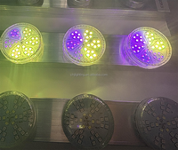 Garantie de 2 ans, CHJ IC6042, 24V RGB RGBW, éclairage LED à pixels à fonctionnement automatique, IP65, étanche, 60 mm, LED Cabohon pour éclairages de divertissement