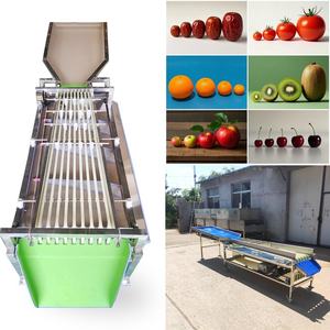 Comercial Litchi Limón Tamaño Clasificación Granada <span class=keywords><strong>Tomate</strong></span> Saladett Kiwi <span class=keywords><strong>Tomate</strong></span> Clasificación Máquina - Product Image 4