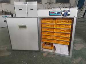 Incubateur convivial pour usage domestique, fonctionnement <span class=keywords><strong>simple</strong></span>, incubateur commercial entièrement automatique avec plateau d'éclosion séparé - Product Image 5