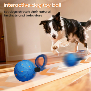 <b>Smart</b> Interactive Sport Dog Toy ETPU Material Rechargeable Training <b>Ball</b> Automatic Jumping & Rolling Indoor Pet - Product Image 4