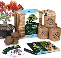 Meilleur kit de culture de coings japonais pour bonsaï kit de culture de jardin véritable bonsaï kit de culture d'encens mini kit de jardin pour bureau maison sac cadeau