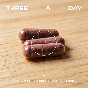 Capsules d'extrait de betterave et de pépins de raisin OEM ODM certifiées GMP Halal, 90 unités, complément alimentaire - Product Image 2