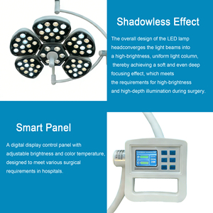 Lampe chirurgicale, lampe de salle d'opération, lampe d'inspection électrique à cylindre pour hôpital, lampe de clinique, lampe LED sans ombre pour clinique vétérinaire - Product Image 5
