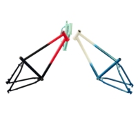 TRB Kit de vélo électrique couleur personnalisée Cadre de vélo électrique de course élégant en acier Cr-Mo conçu pour augmenter la vitesse en compétition