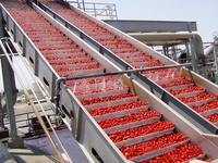 Industriële Tomatensauspasta Productielijn Prijs Vruchtensap Verwerkingsmachines