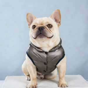 Autumn Winter Warm Pet <b>Coats</b> - Hooded Two-<b>Legged</b> Outfits For <b>Dogs</b> Cats - Product Image 4