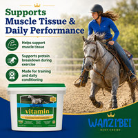 Complément alimentaire professionnel Vita Plus équilibré multivitaminé et minéral pour chevaux, fournit une nutrition équilibrée pour soutenir la santé globale