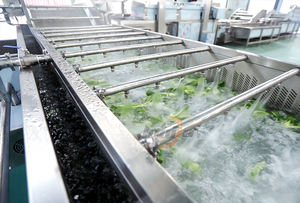 Precio de fábrica: Lavadora de cerezas y vegetales, limpiadora de mangos, máquina de limpieza de figos de espino, línea de clasificación, lavado y encerado de limones - Product Image 5