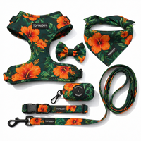 Ensemble de 6 pièces pour animaux de compagnie à motif botanique personnalisé, avec logo sur mesure, comprenant harnais, laisse, collier, bandana, nœud papillon et porte-sac à déjections canines