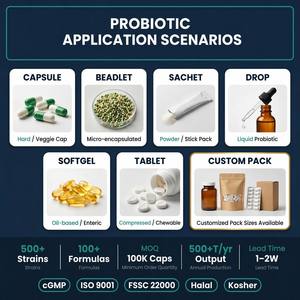 Bifidobacterium Longum CCFM760, Polvo Probiótico para el Estreñimiento, Cápsulas, Gomitas y Sobres OEM ODM - Product Image 2
