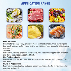 Flüssigstickstoff-Tunnelgefrierschrank Durian Ultratieftemperatur-Gefrierschrank -196 ℃   Flüssigstickstoff-Schnellgefrieranlage - Product Image 4