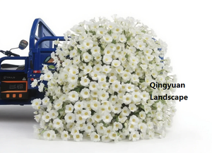 Bouquet de fleurs artificielles en soie au toucher réel, <span class=keywords><strong>iris</strong></span> japonica papillon, pour mariage, <span class=keywords><strong>d</strong></span>écoration de la maison et de fêtes - Product Image 6