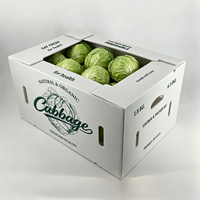 Caisse en plastique ventilée personnalisée, imprimée et étanche, en carton alvéolaire recyclable pour choux, riz et légumes frais