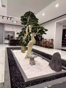 Piedras Negras Pulimentadas Elegantes y Nobles <span class=keywords><strong>de</strong></span> 2-3cm y 3-5cm para Acuarios, Jardines, Pavimentación y Construcción <span class=keywords><strong>de</strong></span> Villas, <span class=keywords><strong>Rocas</strong></span> <span class=keywords><strong>de</strong></span> <span class=keywords><strong>Playa</strong></span> - Product Image 5