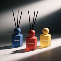 Parfum d'intérieur 50ml 100ml Diffuseur d'huiles essentielles de parfum en verre irrégulier à la mode Diffuseur de roseaux avec bâton aromatique