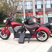 Scooter électrique à deux roues EEC 60V avec moteur sans balais 1500W, vitesse maximale de 45 km/h, moto électrique