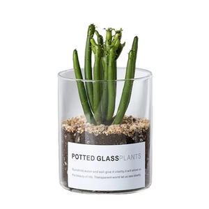 Vaso in Vetro Borosilicato Trasparente Riutilizzabile a Tubo Dritto <span class=keywords><strong>per</strong></span> Piante Grasse e <span class=keywords><strong>Cactus</strong></span>, Ideale <span class=keywords><strong>per</strong></span> Arredamento Moderno e Matrimoni - Vendita all'Ingrosso - Product Image 6