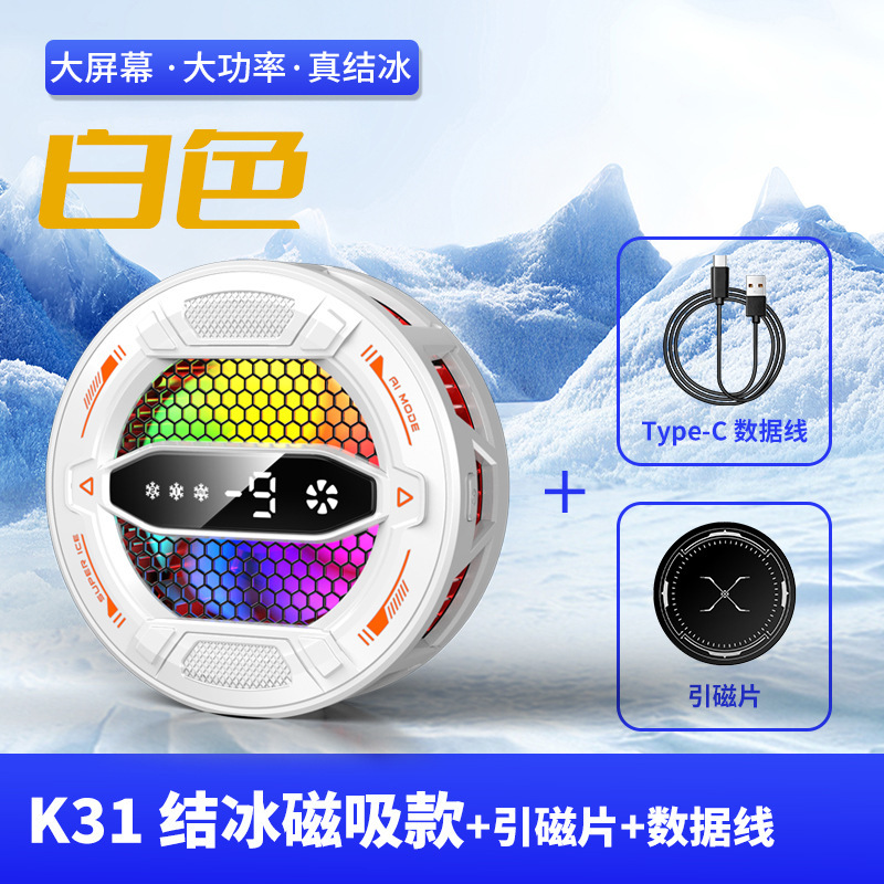 B31 White