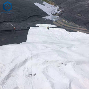 قماش جيوتكستايل أبيض وأسود عالي القوة بسعر المصنع مع مقاومة للأشعة فوق البنفسجية لحماية التربة والطرق - Product Image 4