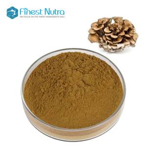 Extrait de champignon Maitake d'approvisionnement d'usine Grifola Frondosa <span class=keywords><strong>Mycelia</strong></span> Polysaccharide 10%-50% Poudre d'extrait de champignon Maitake - Product Image 1
