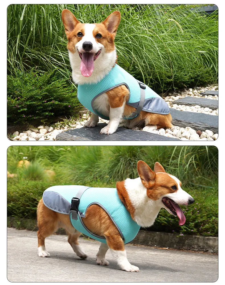 Pet Cooling Clothing