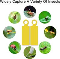 Dubbelzijdige gele kleefvallen voor insecten, PP vliegenvanger voor fruitvliegen, thrips & vliegende ongedierte, op maat gemaakt voor binnen & buiten