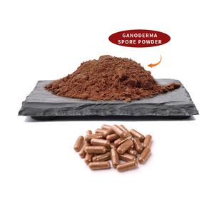 Oem <span class=keywords><strong>Ganoderma</strong></span> <span class=keywords><strong>Lucidum</strong></span> Extract Reishi Paddenstoel Extract Reishi <span class=keywords><strong>Capsules</strong></span> <span class=keywords><strong>Ganoderma</strong></span> <span class=keywords><strong>Capsules</strong></span> - Product Image 3