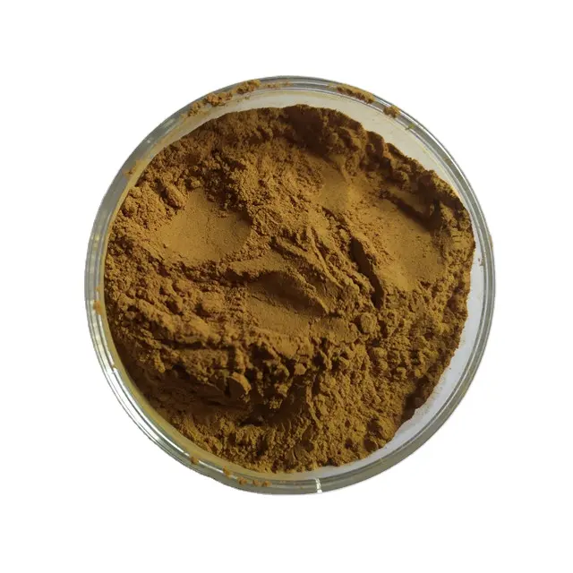Factory supply Black Cohosh Root Extract Powder 2.5% 8% Triterpene Glycosides powder