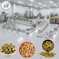 Mesin Produksi Pengolahan Pistachio yang Dapat Disesuaikan, Otomatis Membersihkan, Menyortir, Memanggang, Mengeringkan, Mengklasifikasikan, dan Mengemas