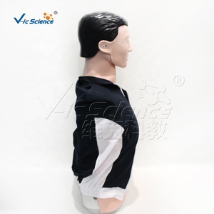 Simulador de RCP semielectrónico masculino para la enseñanza en escuelas de medicina, con cabeza <span class=keywords><strong>y</strong></span> cuello giratorios, elevación visible del pecho por compresión <span class=keywords><strong>y</strong></span> alarma. - Product Image 2