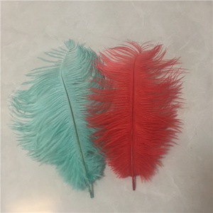 Prezzo all'ingrosso 15-70cm piume di struzzo soffici naturali - Product Image 4
