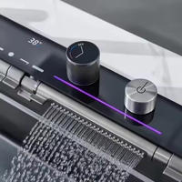 Évier de cuisine simple en acier inoxydable FSH 2025 fait main avec affichage numérique LED fonctionnel, robinet de lave-vaisselle moderne et fonctions intelligentes (OEM)