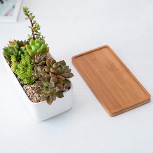 Décor <span class=keywords><strong>à</strong></span> la maison Bonsaï Pots <span class=keywords><strong>Blanc</strong></span> 6.7 Pouces Succulentes Cactus <span class=keywords><strong>Rectangulaire</strong></span> Jardinières En Céramique Avec Plateau En Bambou - Product Image 6