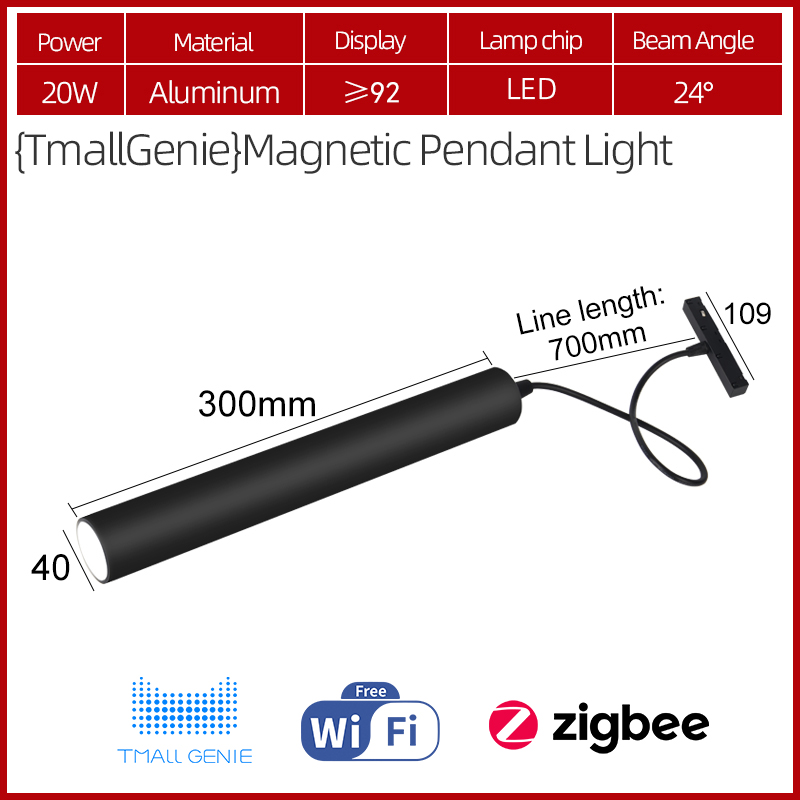 Black-Pendent light-20w