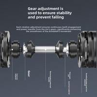 Ensemble d'haltères réglables en gros avec poignée rotative pour entraînement musculaire 16-32 kg – Équipement de fitness pour la maison