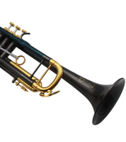 Eastern Music Pro Use Bb Key Shiny Black Plated Brass Beginner-Friendly Trumpet TR-805F 11.66MM Bore
