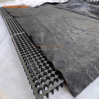 Drainage Cell Drain Board Grübchen Untergrund Untergrund Garage Boden Dach platte Hdpe Kunststoff Garten für Wand halter Grün