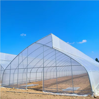Serre agricole à un seul travert, type tunnel en polyéthylène, à toit en dents de scie, pour la culture de tomates – Vente chaude