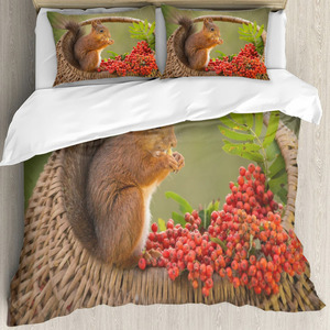 Ga Trải Giường 3D Polyester In Hình Con Công Kỹ Thuật Số Bộ Ga Trải Giường Tùy Chỉnh Cỡ Queen Bằng Vi Sợi Bộ Ga Trải Giường - Product Image 5