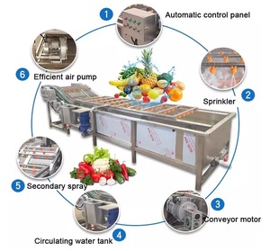 Équipement commercial de lavage de légumes 1000 kg/h – Machine de nettoyage pour fruits de la passion, <span class=keywords><strong>laitue</strong></span>, pommes de terre, oignons - Product Image 1