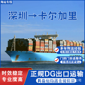 Anda Xun Logistics, Transporte de Carga en Contenedores, Canadá, DDP, DDU, Puerta a Puerta, Carga Completa de Contenedor (FCL), Carga Consolidada (LCL), Transporte de Mercancías Peligrosas - Product Image 4