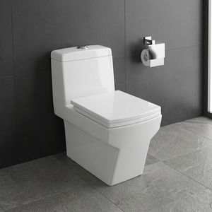 WC monobloc en céramique pour marché africain, cuvette de toilette à siphon, à poser au sol, blanc, équipement sanitaire - Product Image 3