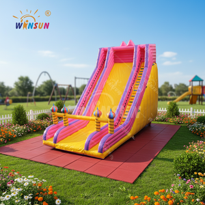 WINSUN Toboganes Inflables Comerciales de PVC para Niños, Bolas y Rodillos Personalizados para Parques de Trampolín, Centros Comerciales y Jardines - Product Image 1