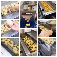 Rm Automatische Commerciële Wortel Zoete Aardappelschiller Polijstmachine Schillen Laveuse/Fruit-En Groentewasmachines