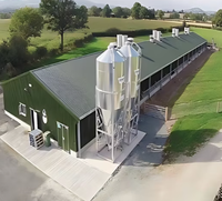 Nave Avícola de Acero con Control Climático, Gallinero Ventilado con Sistema de Refrigeración para Cría de Alta Densidad