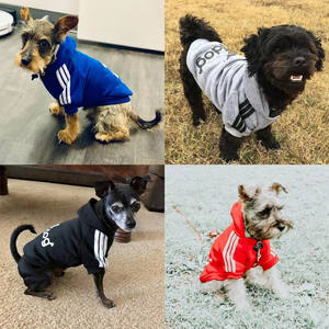 Üretici toptan klasik kış yavru Hoodie köpek kedi için dört bacaklar Pet köpek giysileri - Product Image 6