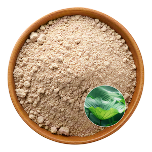 Высокое качество натуральный органический экстракт листьев лотоса порошок потеря веса 1% 2% 98% нуциферин - Product Image 1