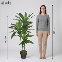 OH Arbre artificiel Dracaena ignifuge et résistant aux UV, toucher réel, Arbre du dragon de Madagascar pour la décoration d'hôtels et d'espaces professionnels